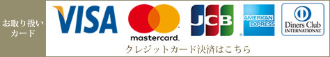藤沢メンズエステＬｙｎｘ(リンクス)のクレジットカード決済